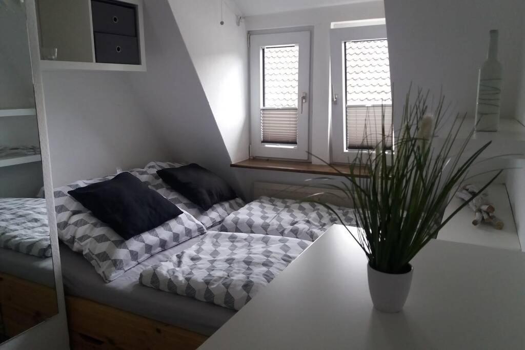 Helle 2-Zimmerwohnung Am Stadtrand Hildesheim Ngoại thất bức ảnh